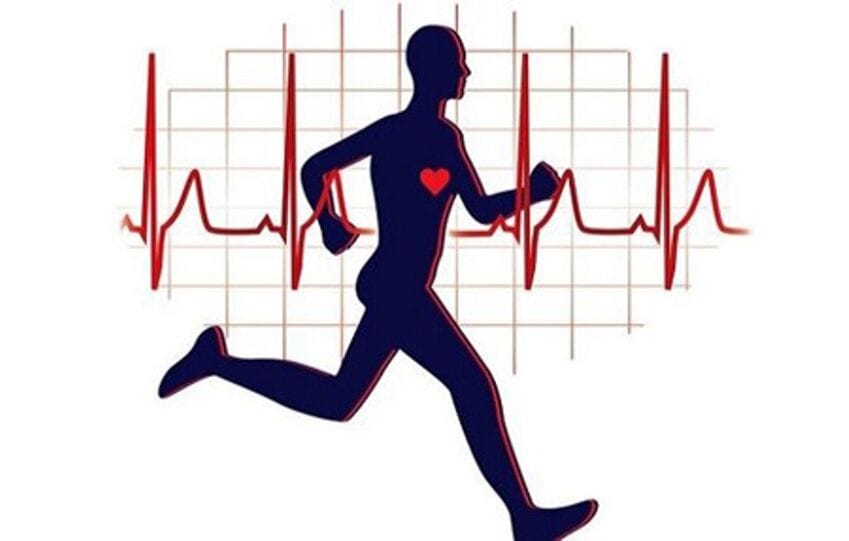 اهمیت_ورزش, تاریخچه_ورزش, ورزش فروشگاه پوشاک و تجهیزات ورزشی شهرآرا