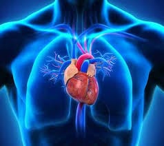 اهمیت_ورزش, بدنسازی, ورزش, ورزش_هوازی فروشگاه پوشاک و تجهیزات ورزشی شهرآرا