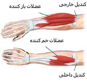 فروشگاه پوشاک و تجهیزات ورزشی شهرآرا