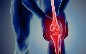 فروشگاه پوشاک و تجهیزات ورزشی شهرآرا